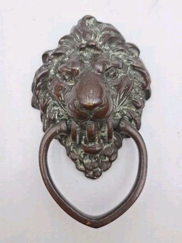 Testa leone ottone - testa,